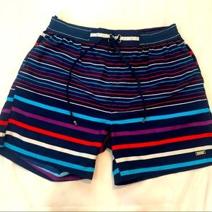 2xist stripped swim shorts